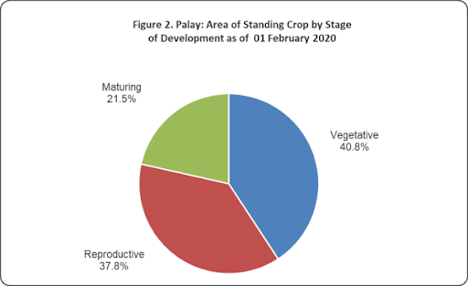 Figure 2 Palay Standing Crop Development