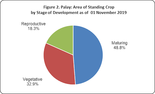 Figure 2 Palay Area Standing Corp Development 01 November 2019