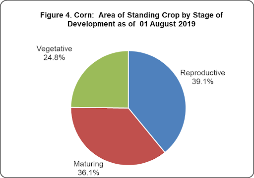 Figure 4 Corn Area STanding Crop Development 01 August 2019