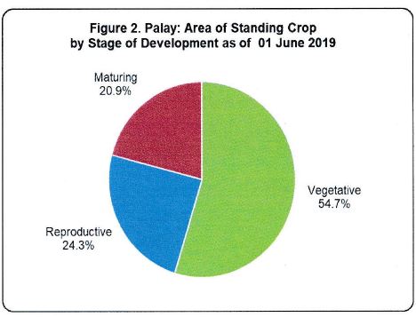 Figure 2 Palay ARea Standing Crop Stage Development 01 June 2019