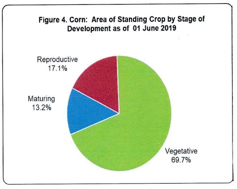 Figure 4 Corn ARea STanding Crop Development 01 June 2019