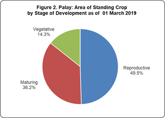 Figure 2 Palay Area Standing Crop by Stage Development 01 March 2019
