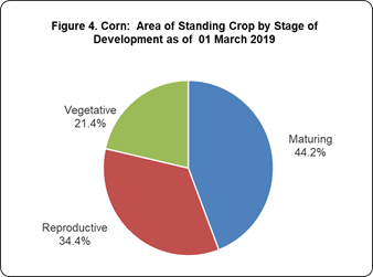 Figure 4 Corn Area of Standing Crop by Stage of DEvelopment as of 01 March 2019
