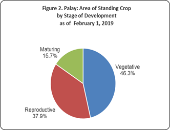 Figure 2 Palay Area ofStanding Crop Stage Development