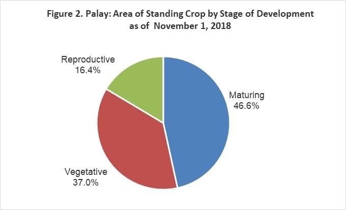 Figure 2 Palay Area Standing Crop Stage Development 01 November 2018