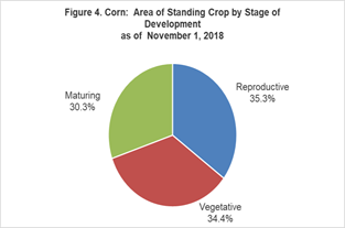 Figure 4 Corn Area Standing Crop Stage DEvelopment 01 November 2018_SSss23