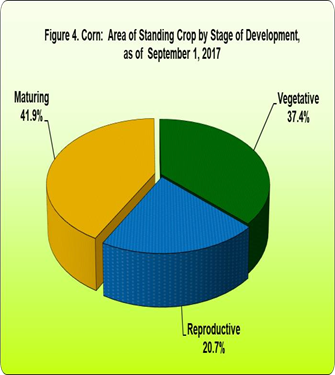Figure 4 Corn Area Standing Crop Storage Development