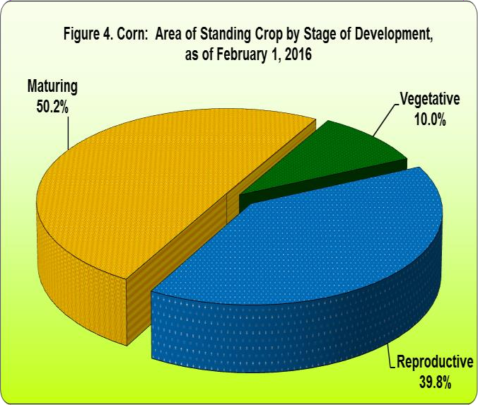 Figure 4 Corn Area Standing Crop Stage Development 01 February 2016