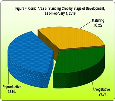 Figure 4 Corn Area Standing Crop Stage Development 01 February 2016