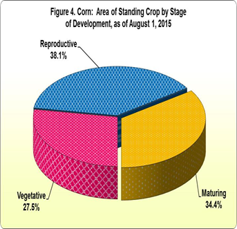 Figure 4 Corn Area Standing Crop Stage Development 01 August 2015