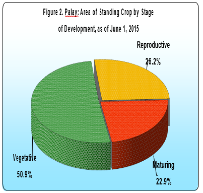 Figure 2 Palay Area Standing Crop Stage Development 01 June 2015