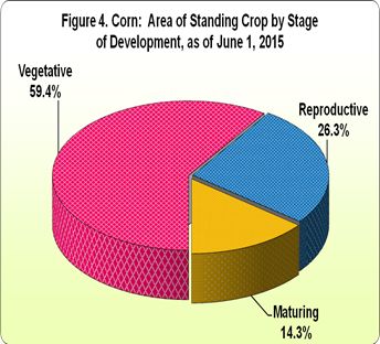 Figure 4 Corn Area Standing Crop Stage Development 01 June 2015