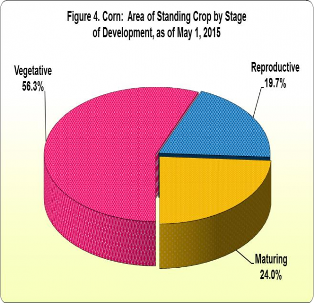 Figure 4 Corn Area Standing Crop Stage Development 01 May 2015