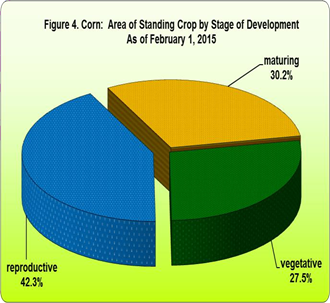 Figure 4 Corn Area Standing Crop Stage Development 01 February 2015