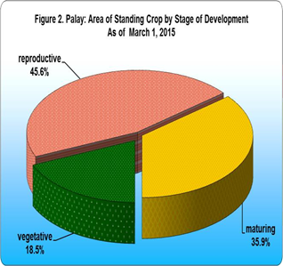 Figure 2. Palay: Area of Standing Cropt by Stage of Development As of March 1, 2015