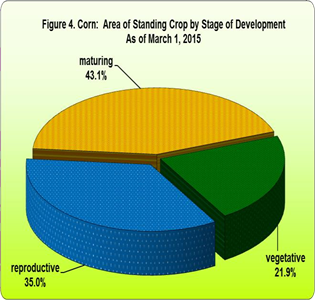Figure 4. Corn: Area of Standing Crop by Stage of Development As of March 1, 2015