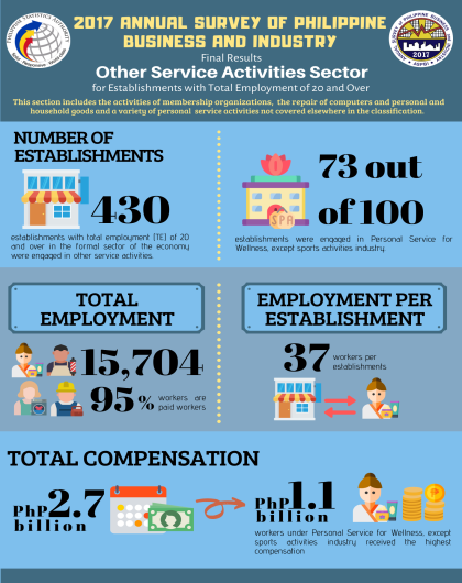 2017 Annual Survey of Philippine Business and Industry - Other Service Activities (Final Result)