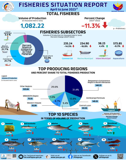 Infographics on Fisheries Situation Report, April to June 2023