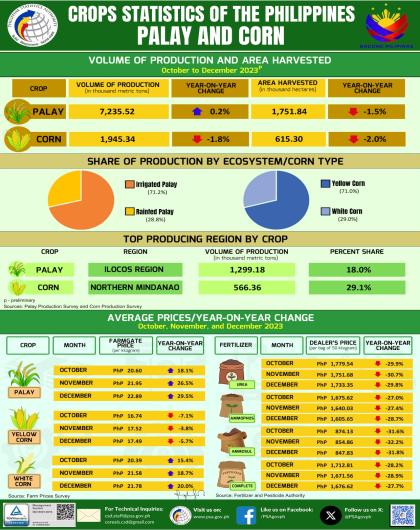 Palay and Corn Statistics, October to December 2023