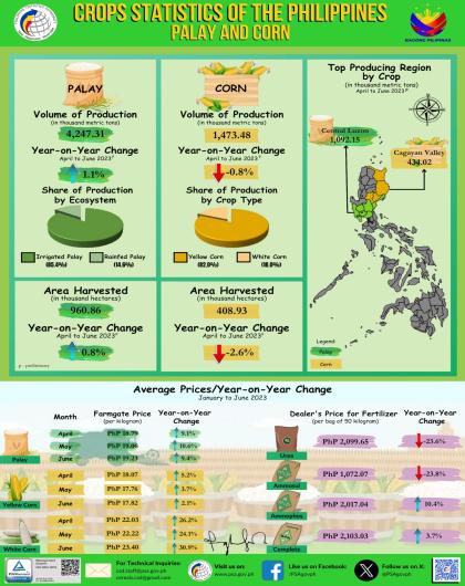 Palay and Corn Statistics, April to June 2023 