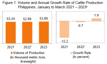 Cattle Q1 2023