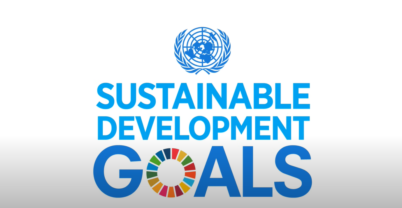 A Look at the Sustainable Development Goals