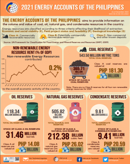 2021 Energy Accounts of the Philippines
