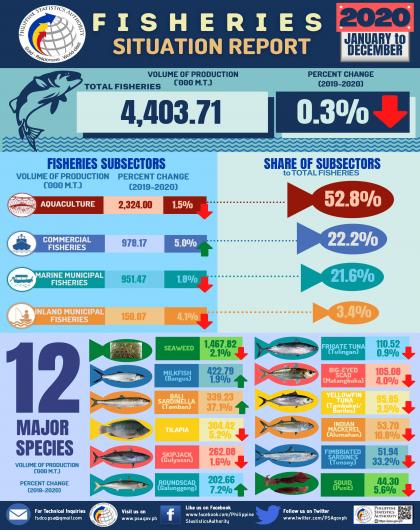 Fisheries Situation Report, January to December 2020