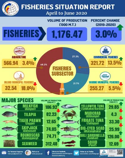 Fisheries Situation Report, April to June 2020
