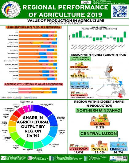 Regional Agricultural Production Accounts, 2017 to 2019