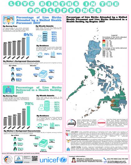 Live Births in the Philippines, 2017